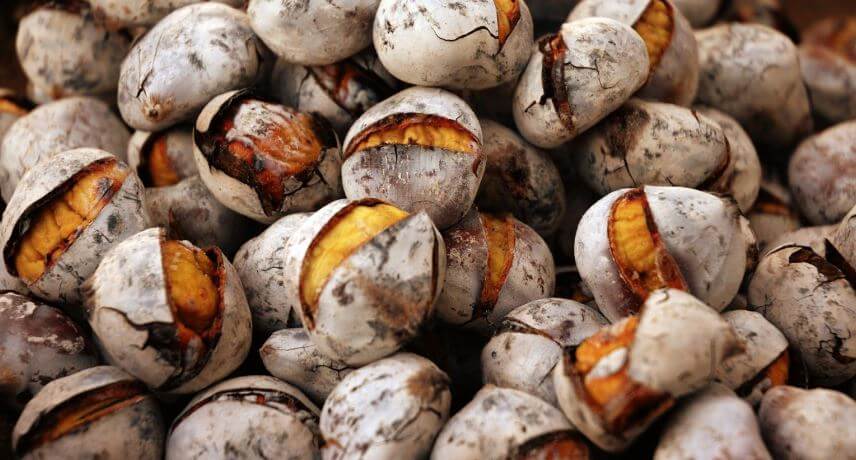 25 Fruits of Madeira Island - Chestnut
